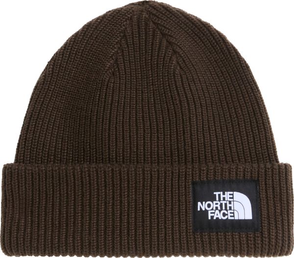 Salty Lined Beanie