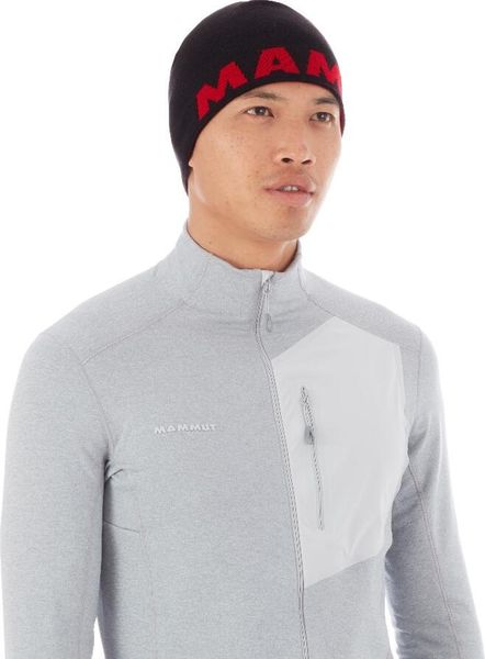 Logo Beanie