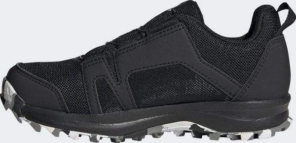 Terrex Boa Hiking Shoes
