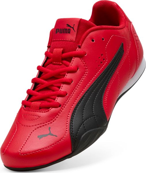 Puma Catch