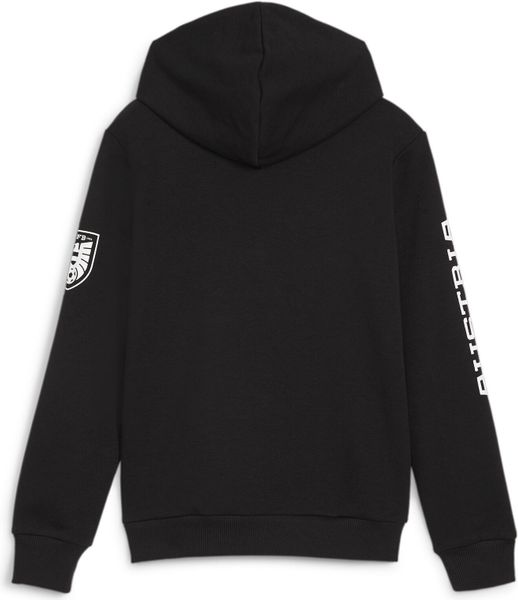 öfb Ftblicons Hoody Jr