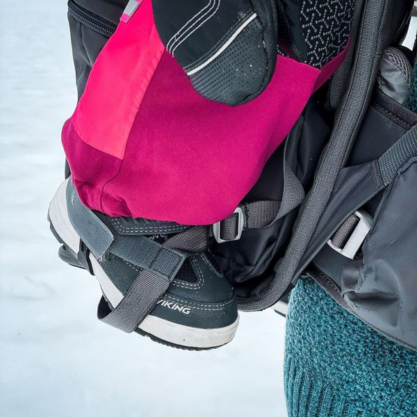 Lilletind Child Carrier