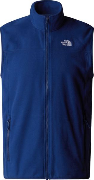 Mens 100 Glacier Vest