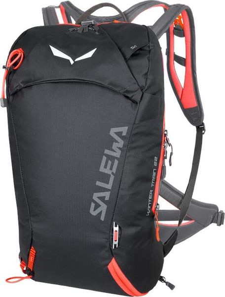 Winter Train 22 Backpack WS
