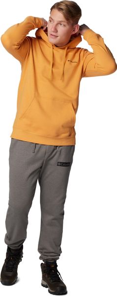 Trek Jogger