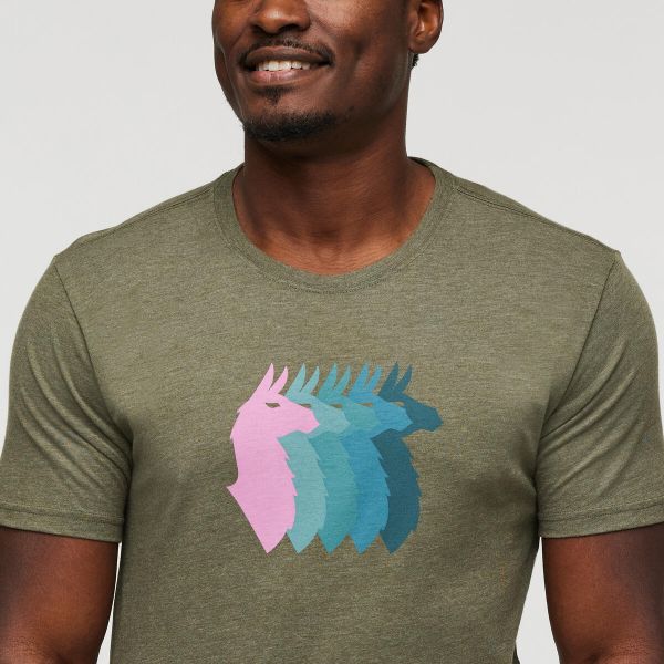 Llama Sequence Organic T-shirt
