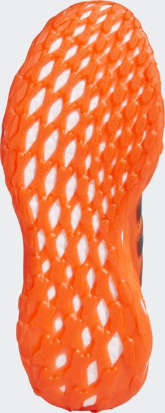 Ultraboost WEB DNA