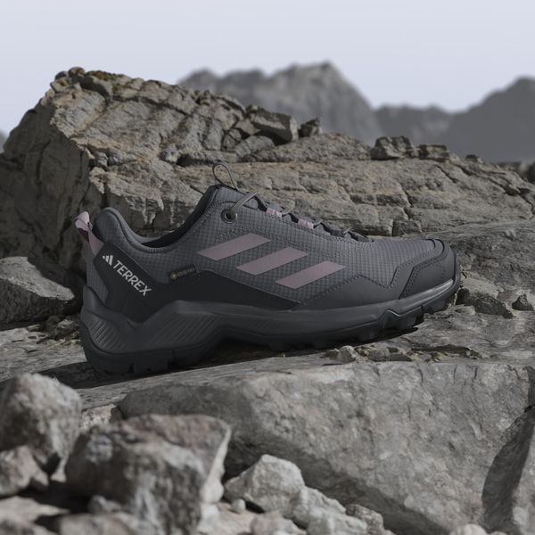 Terrex Eastrail Gore-tex Hiking Shoes