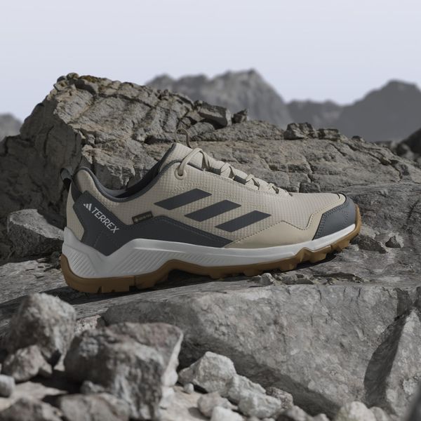 Terrex Eastrail Gore-tex Hiking Shoes