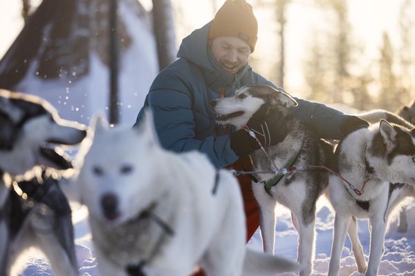 Wiseman Men's Ski Jacket