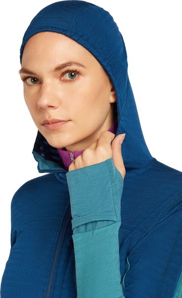 Wom Mer 300 Realfleece Desc Long Sleeve Zip Hoo