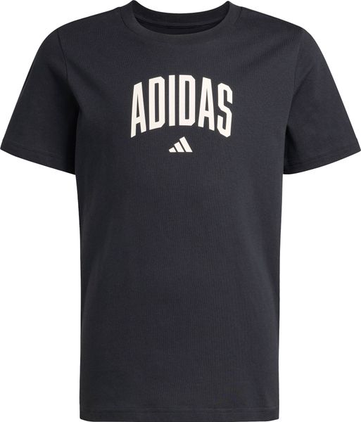 Collegiate Graphic T-shirt Junior
