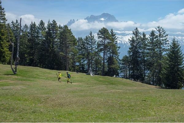 Carbonium ALP Speed Poles