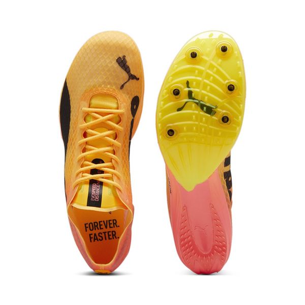 Evospeed Distance Nitro Elite+ 4