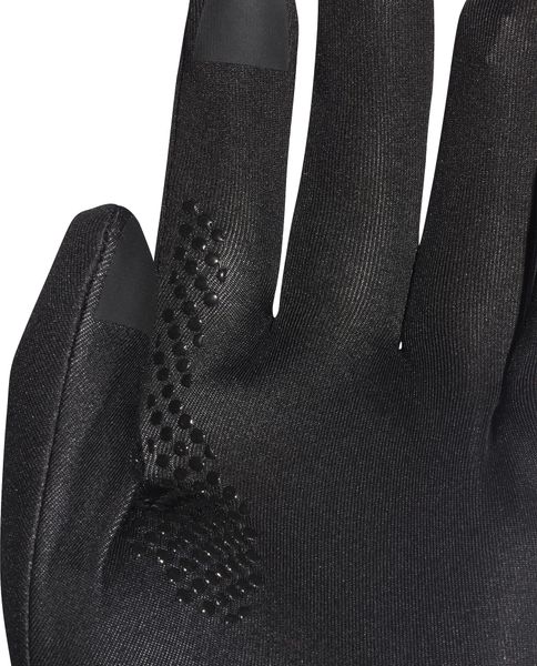 Terrex Gore-tex Infinium Gloves