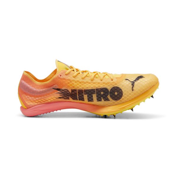 Evospeed Distance Nitro Elite+ 4