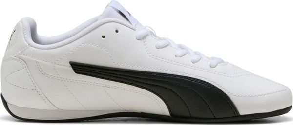 Puma Catch