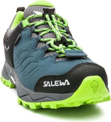 JR MTN Trainer WP