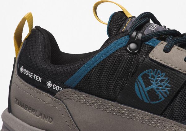 Mens Low Lace UP GTX Hiking Boot