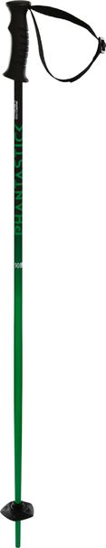 Phantastick Kids Green Poles