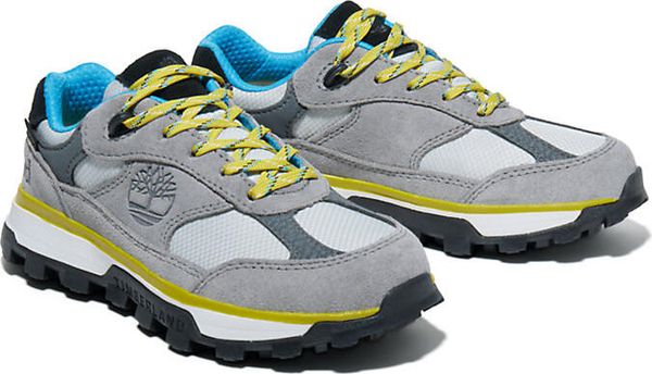Trail Trekker Low GTX