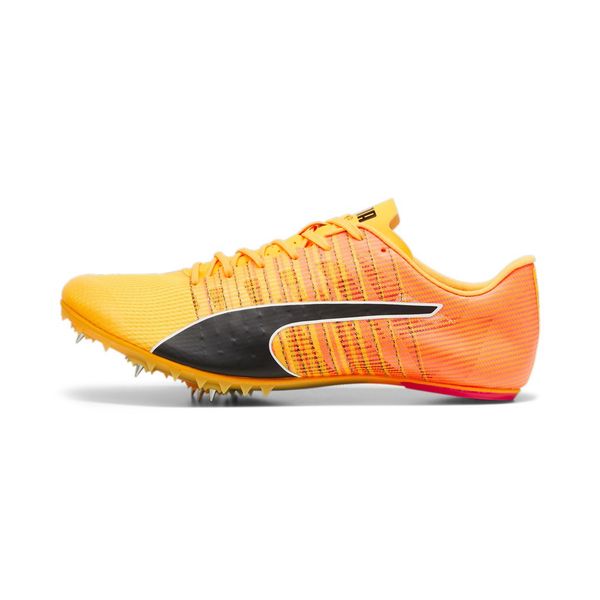 Evospeed Future 6