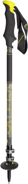 Carbonium Ascent Poles