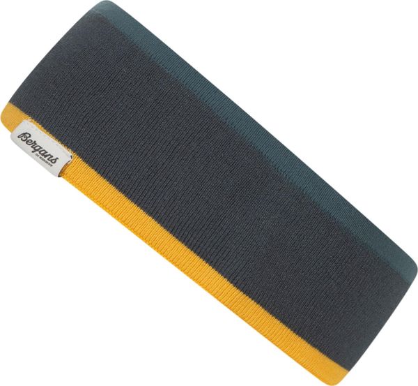 Active V2 Headband