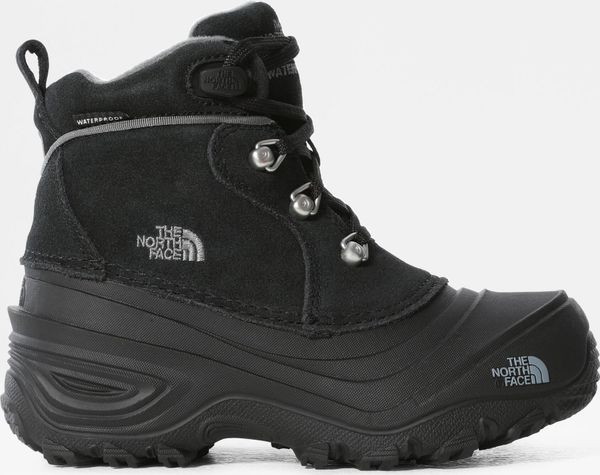 Y Chilkat Lace II