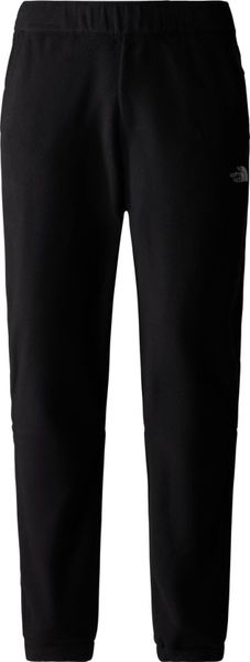 Mens 100 Glacier Pant