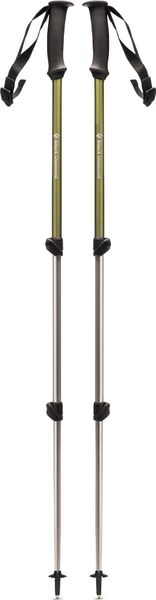 Trail Explorer Trek Poles