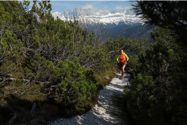Carbonium ALP Speed Poles