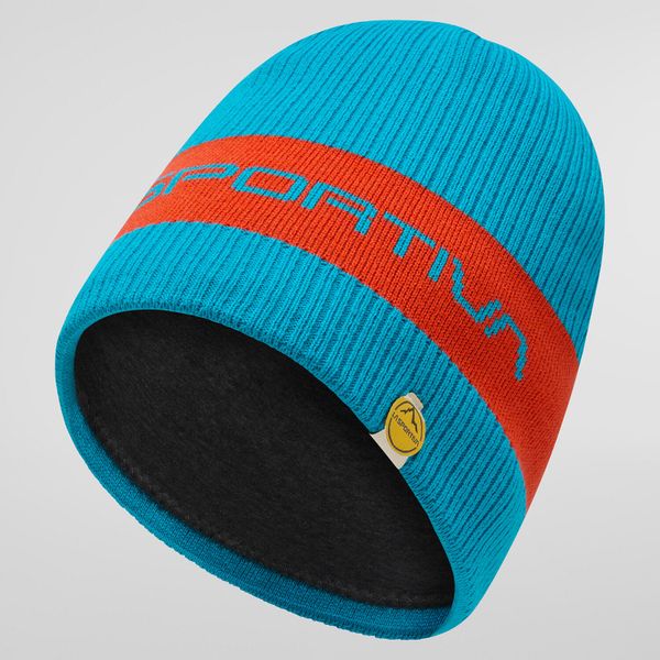 Beta Beanie