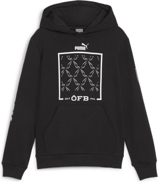 öfb Ftblicons Hoody Jr