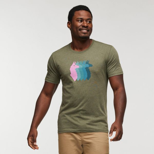 Llama Sequence Organic T-shirt