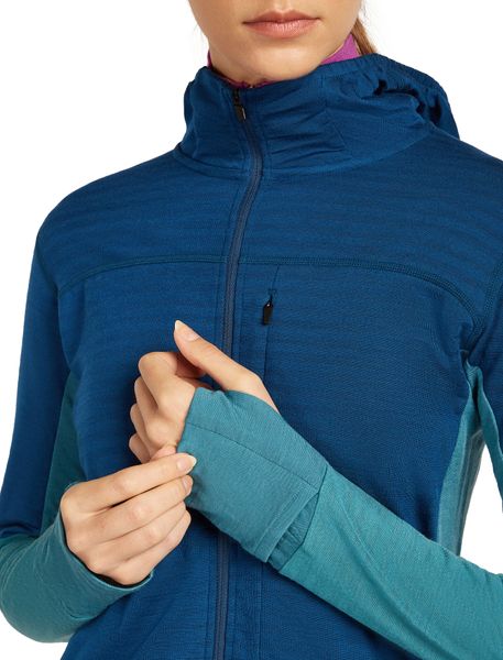 Wom Mer 300 Realfleece Desc Long Sleeve Zip Hoo