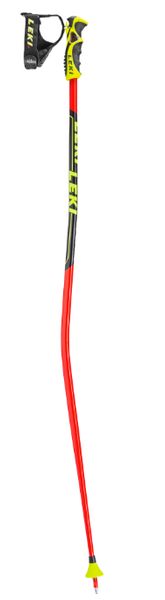 Worldcup Racing GS (2017/2018)