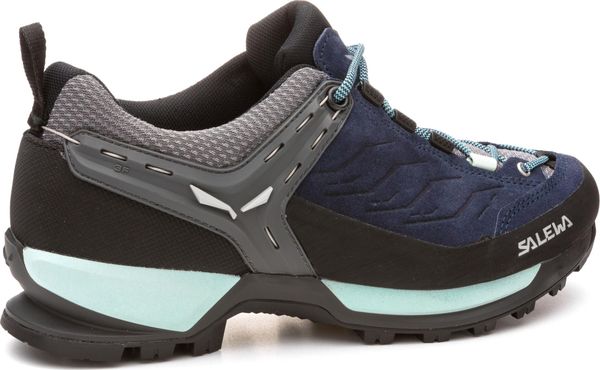 WS MTN Trainer