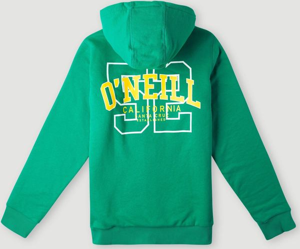 Surf State Sherpa Lined Hoodie