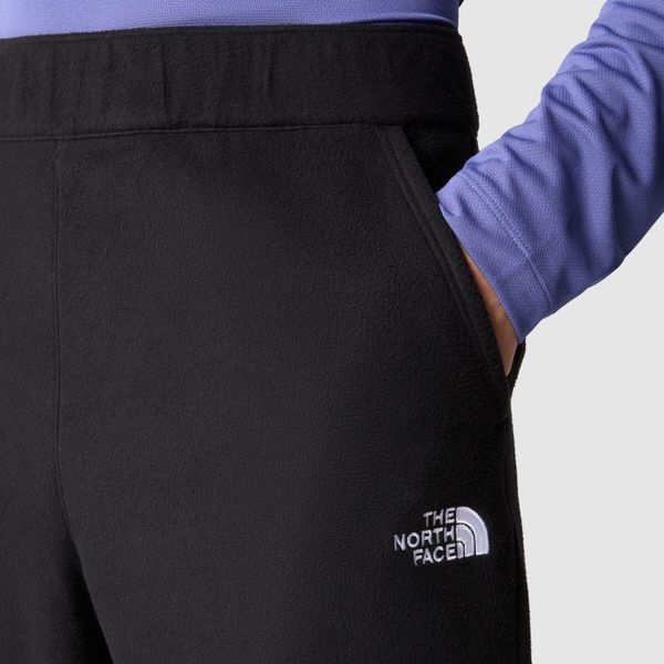 Mens 100 Glacier Pant