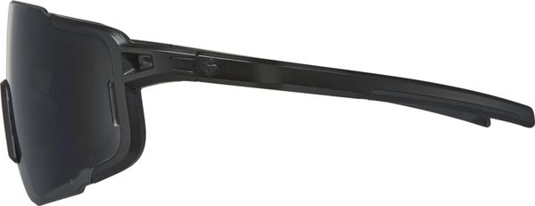 Ronin Max Polarized