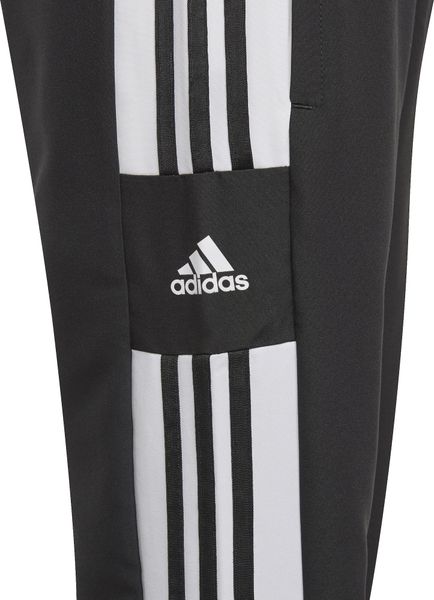 Squadra 21 Presentation Pants
