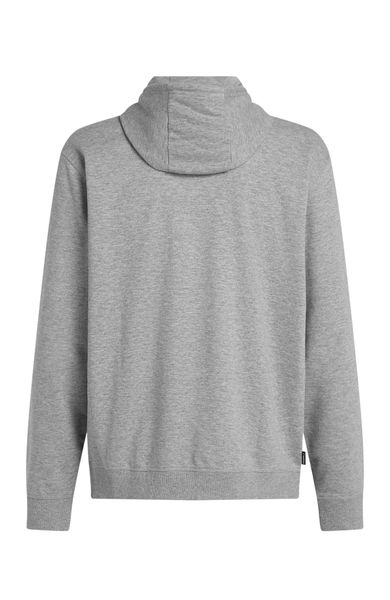 O'neill Small Logo Hoodie