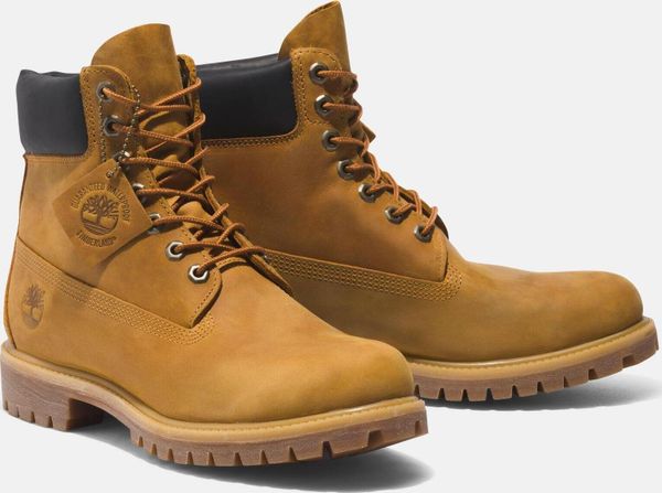Mens 6 Inch Premium Boot