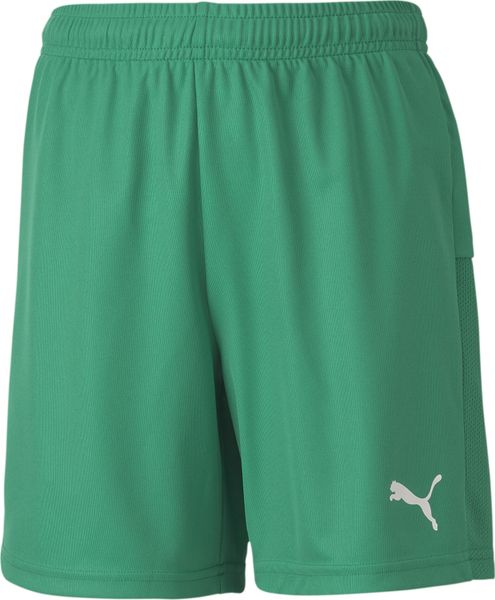 Teamgoal 23 Knit Shorts jr