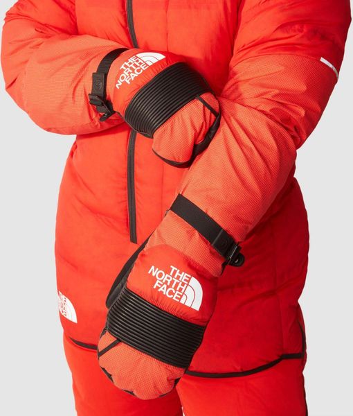 Himalayan Mitt