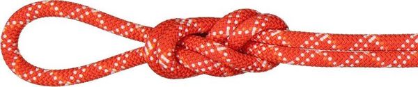 9.5 Gym Classic Rope