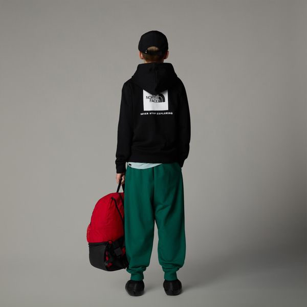 Teen Box NSE Regular Pullover Hoodie