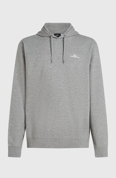O'neill Small Logo Hoodie