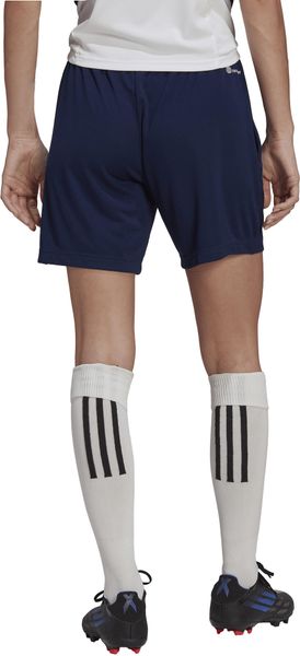 Entrada 22 Training Shorts